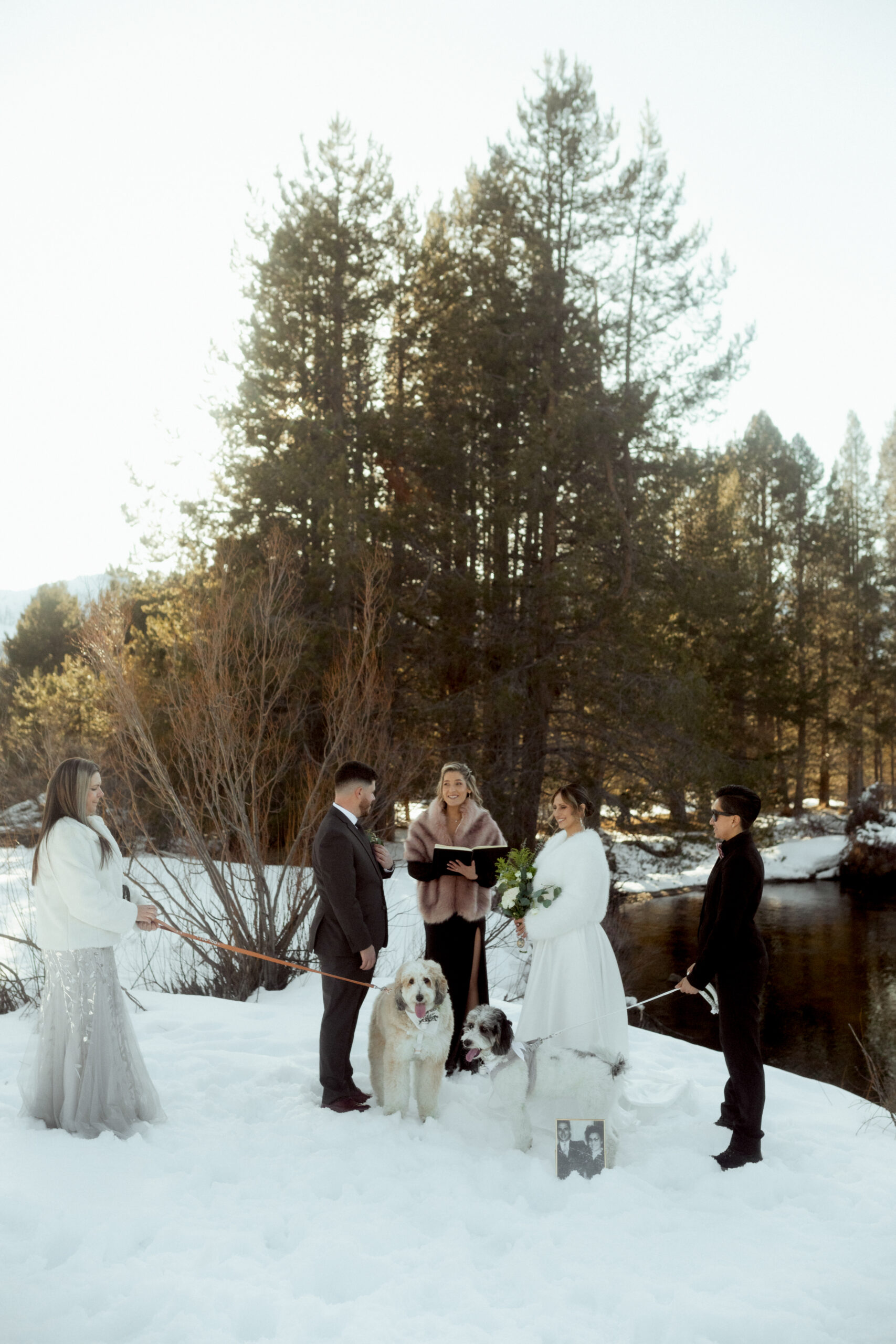 Snowy Winter Lake Tahoe Small Wedding Elopement with dogs in Forest Meadow and Creek in background